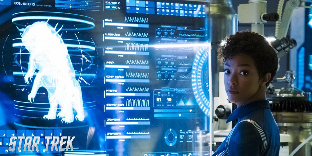 Micelio y arquitectura 1