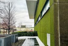 Hormigón bio-receptivo: cuando el musgo se integra en la piel del edificio