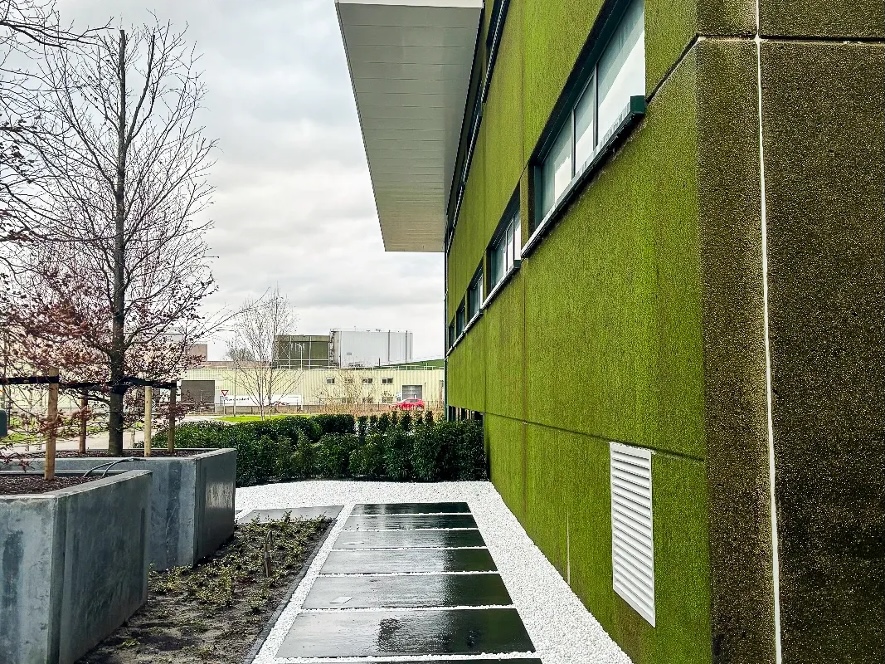 fachada con hormigon musgo