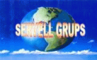 Servell Grups