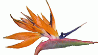 ANAJARDÍN