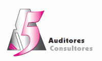 AUDITORES CINCO, S.L.