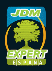 JDM EXPERT ESPAÑA