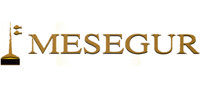 MESEGUR, S.L.
