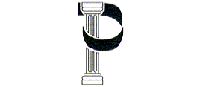GRUPO P
