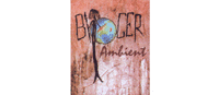 BIOCER AMBIENT, S.L.