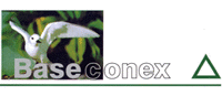BASECONEX, S.L.