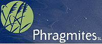 PHRAGMITES, S.L.