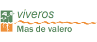 VIVEROS MAS DE VALERO