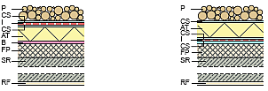 Perfilqb5.png