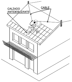 Cerrami2.png