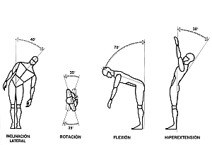 Ergonomia.png