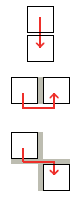 Partho3.png