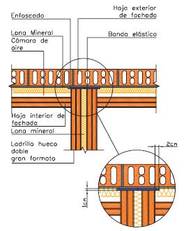 Pared silensis B.JPG
