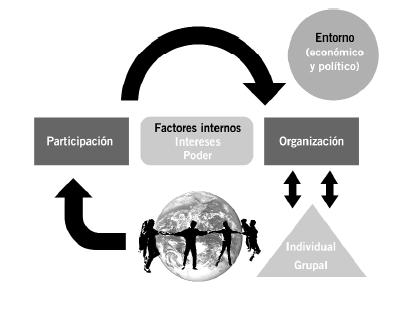 Fig 1 Aspectos que orientan la participación.JPG
