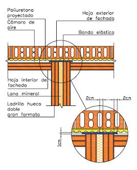 Pared silensis A.JPG