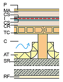 Qb2.png