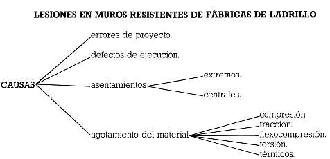 Fisu2.png