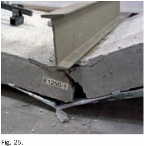 Fig.25.jpg