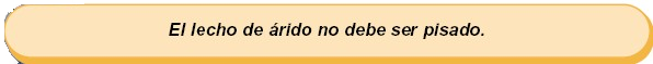 ColocacionEuroadoquinconsejo20.png