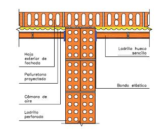 Pared silensis 2.JPG