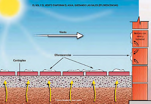 Esquema del proceso de formación de eflorescencias