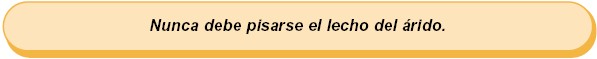 ColocacionEuroadoquinconsejo23.jpg
