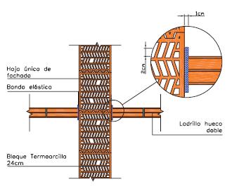 Pared silensis 6.JPG