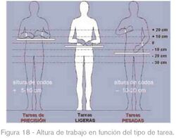 FLC ergonomia 18.jpg