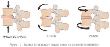 FLC ergonomia 14.jpg