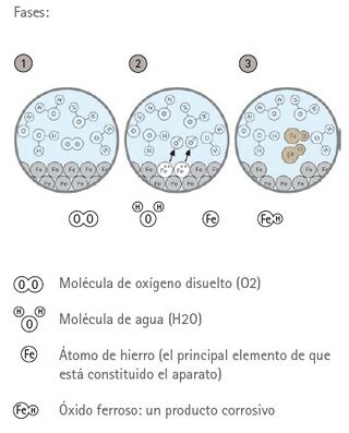 Fases de la corrosión.jpg