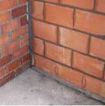 Pared silensis 5.JPG