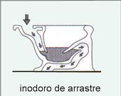 Inodoro de arrastre.jpg