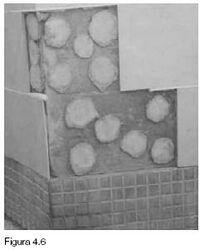 Fig 4.6 Lesión en fachadas Desprendimiento.JPG