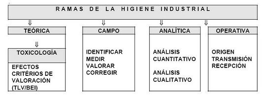 Gráfico Ramas de la Higiene Industrial.JPG
