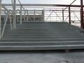G1023.jpg