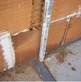 Silensis pared 2.JPG