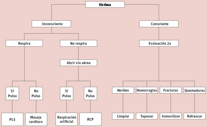 Esquema primeros auxilios.png