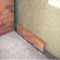 Pared silensis 4.JPG
