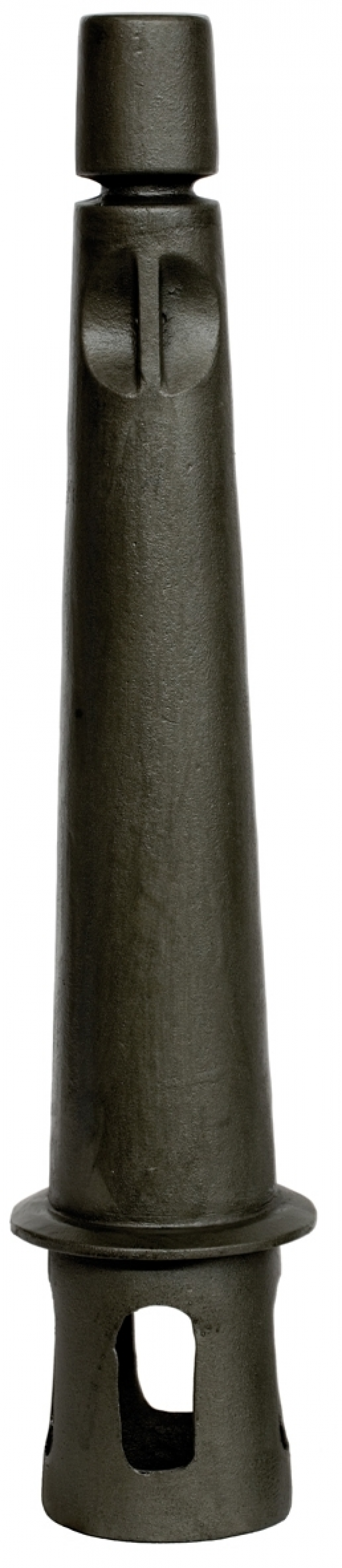 Canaria pilona