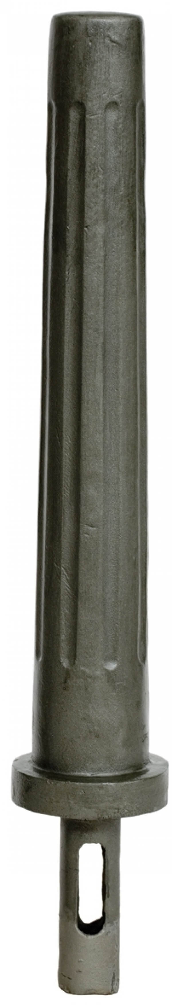 Palma pilona