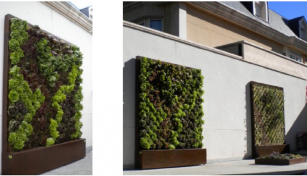 JARDIN VERTICAL