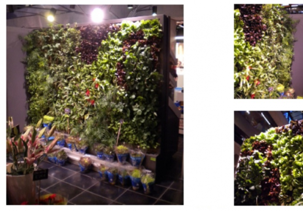 JARDIN VERTICAL