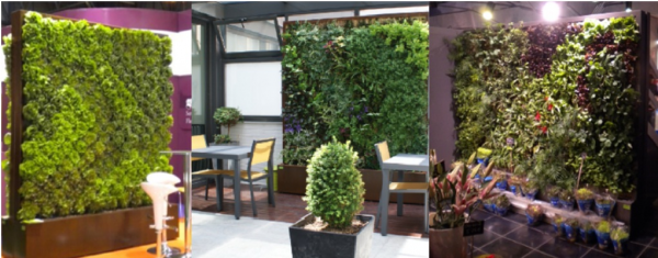 JARDIN VERTICAL