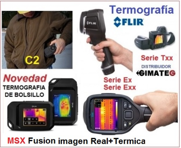 Termografia Flir