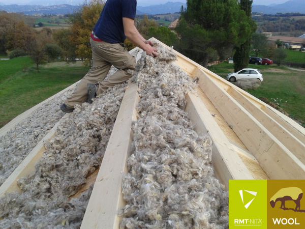NITA WOOL