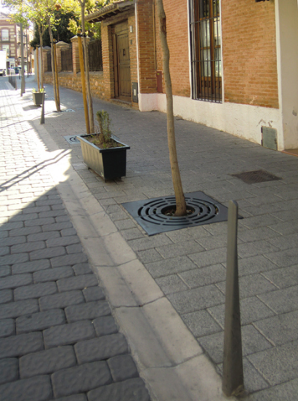 Alcorque Taulat