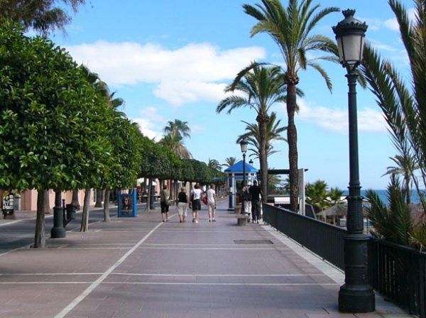 Columna Bailén - Fernandina