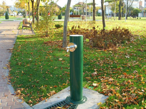 Fuente Egea