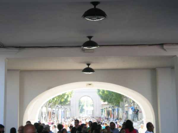 Luminaria Vialia Suspendida